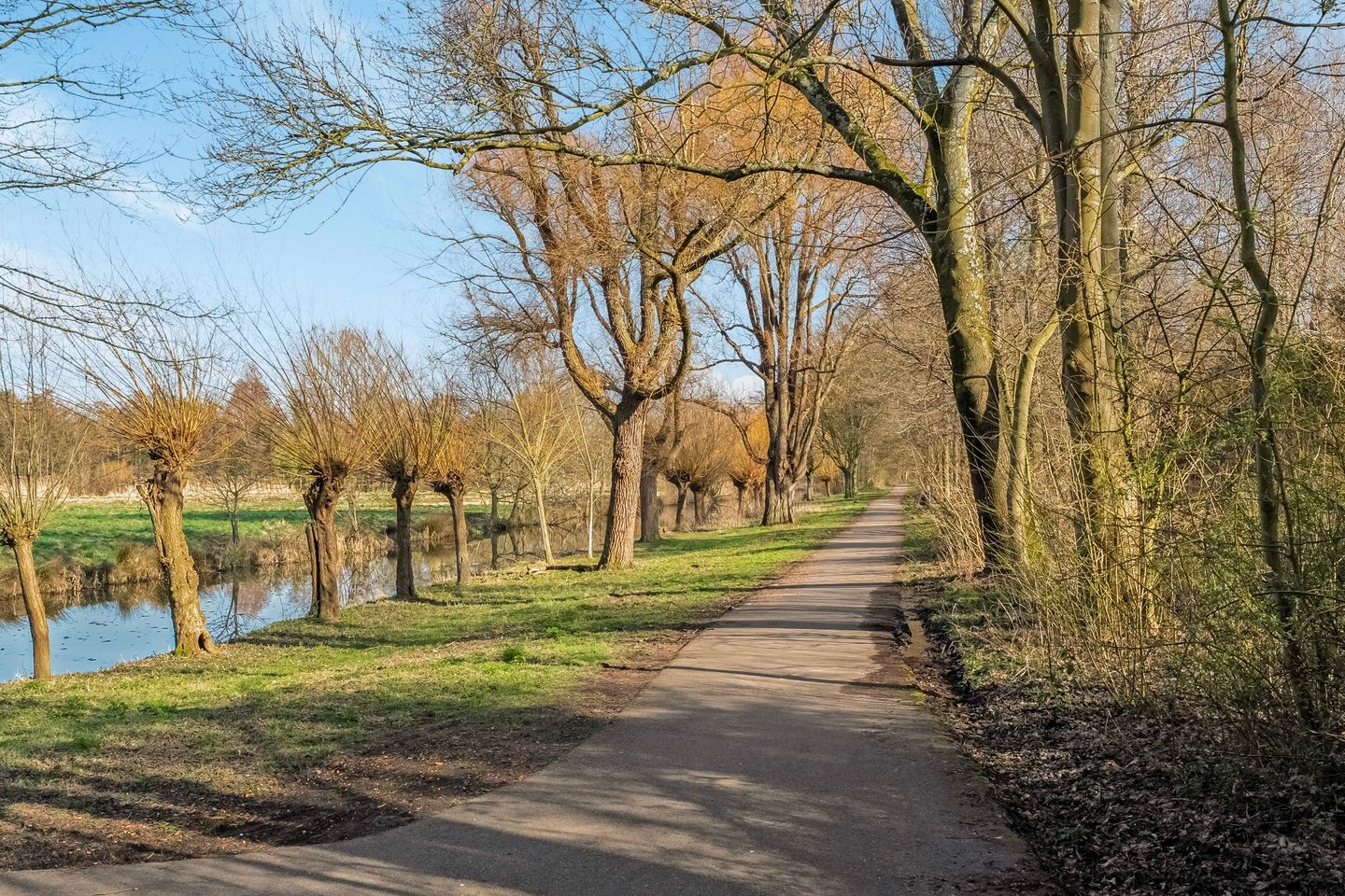 Foto 44 van Molensingel 92