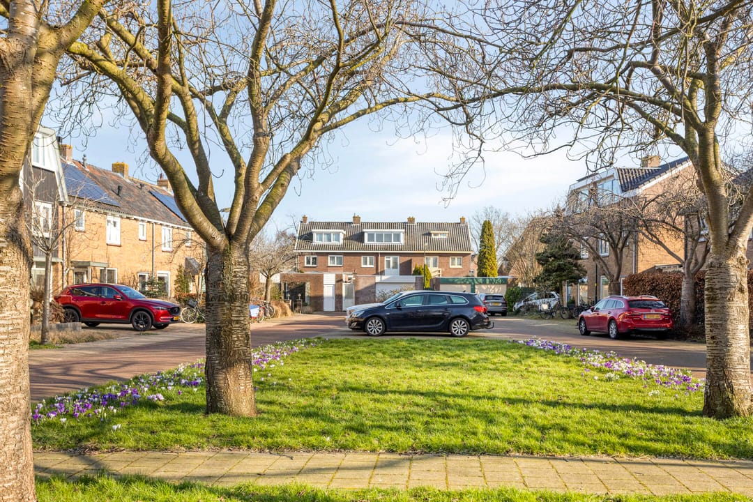 Foto 31 van Werkendelslaan 47