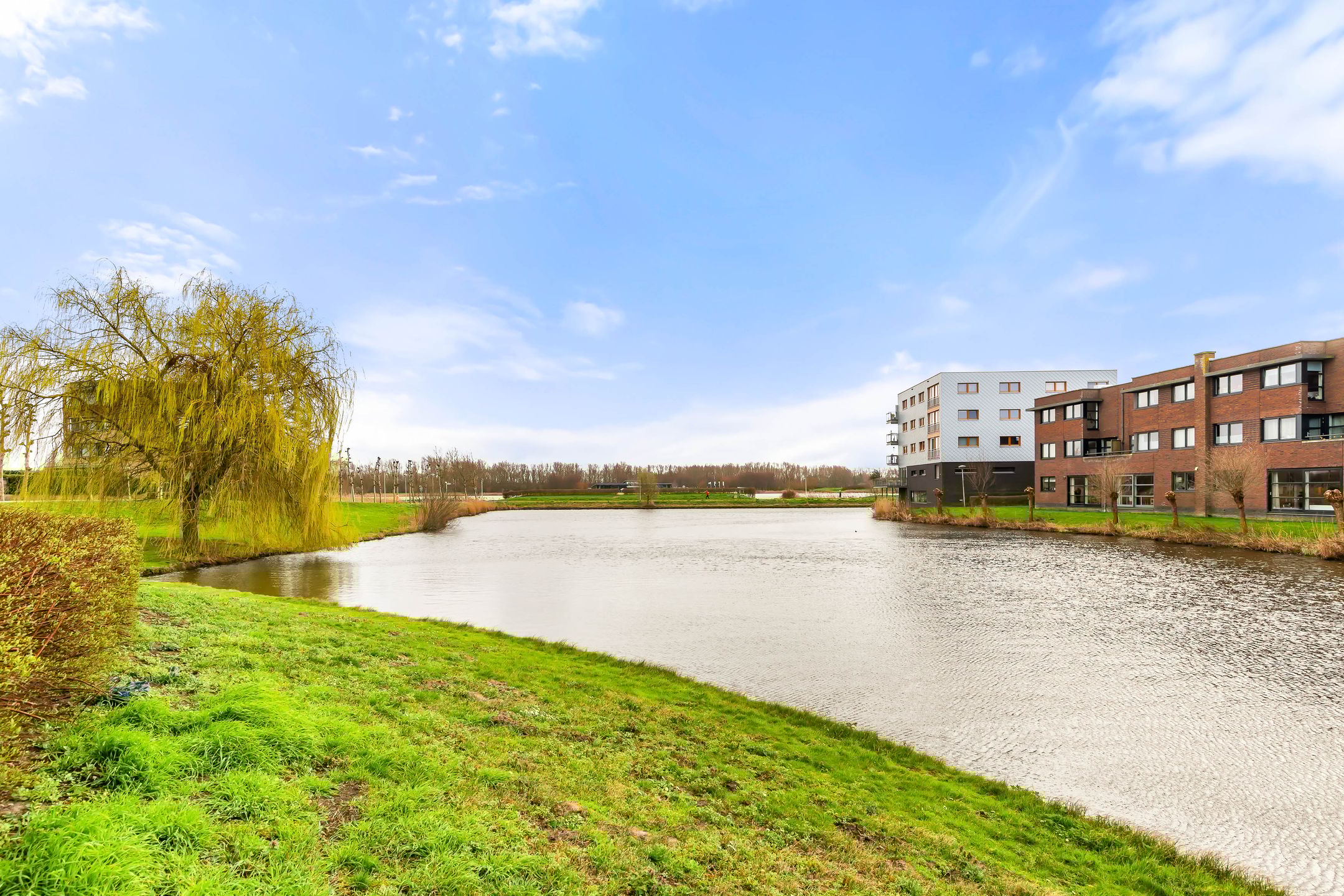 Foto 6 van L. Brownstraat 41