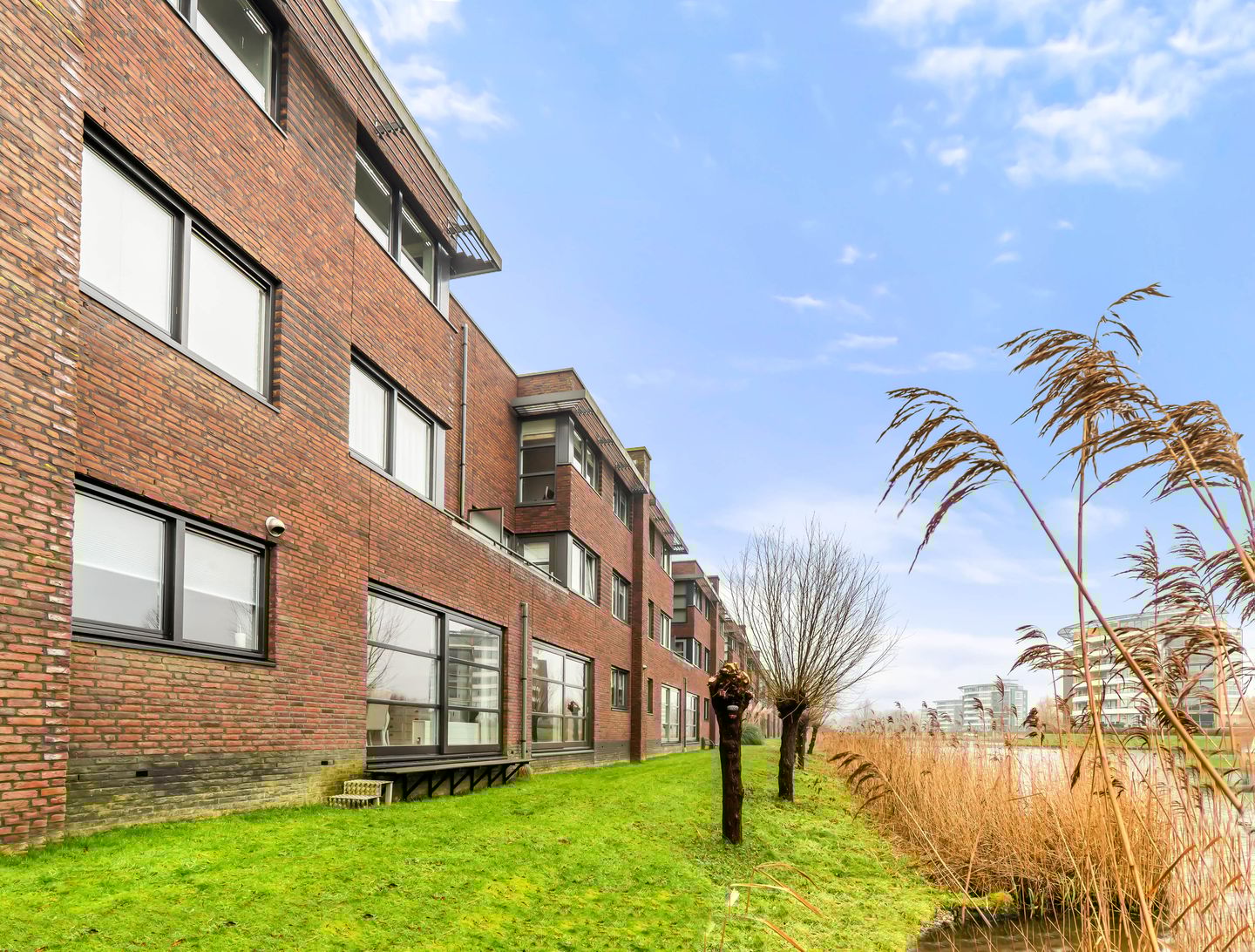 Foto 29 van L. Brownstraat 41