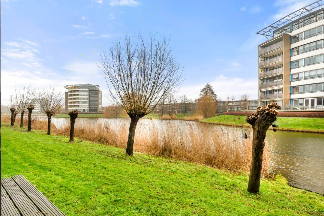 Foto 31 van L. Brownstraat 41