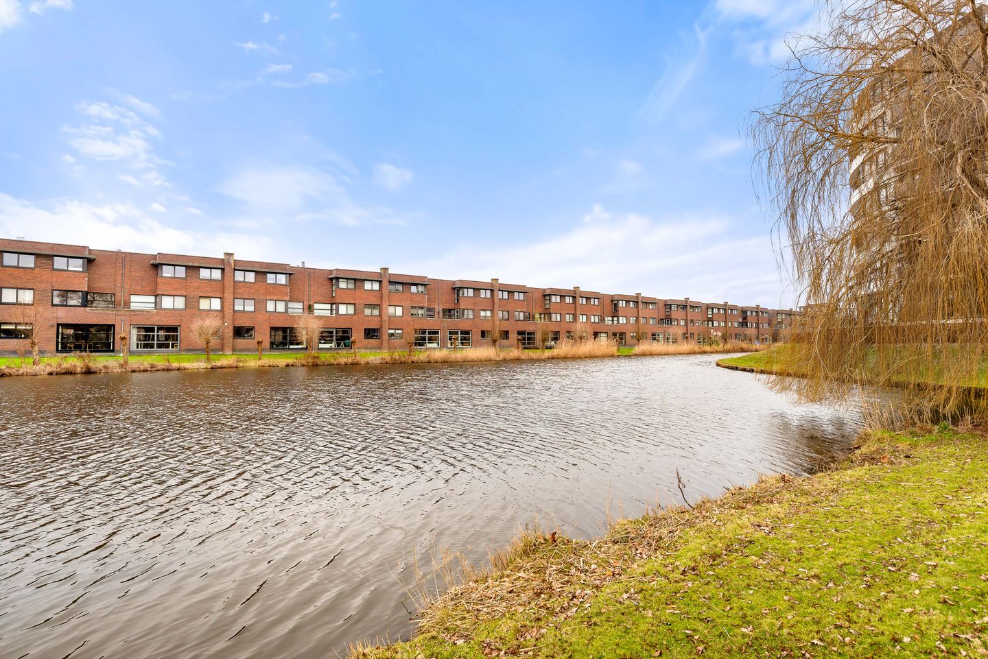 Foto 40 van L. Brownstraat 41