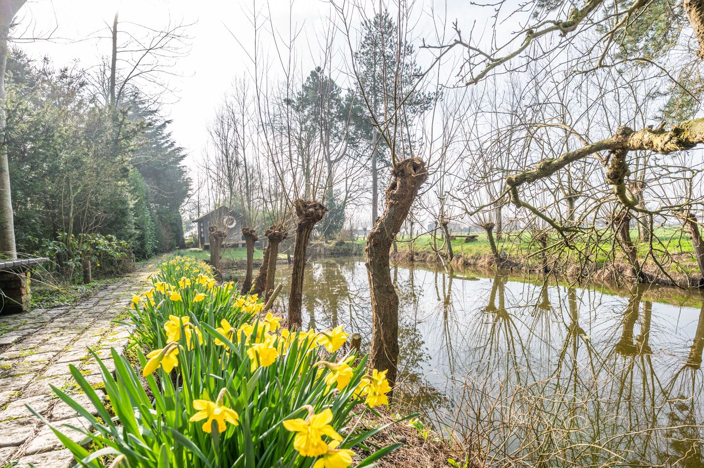 Foto 25 van Noorderbruggeweg 4