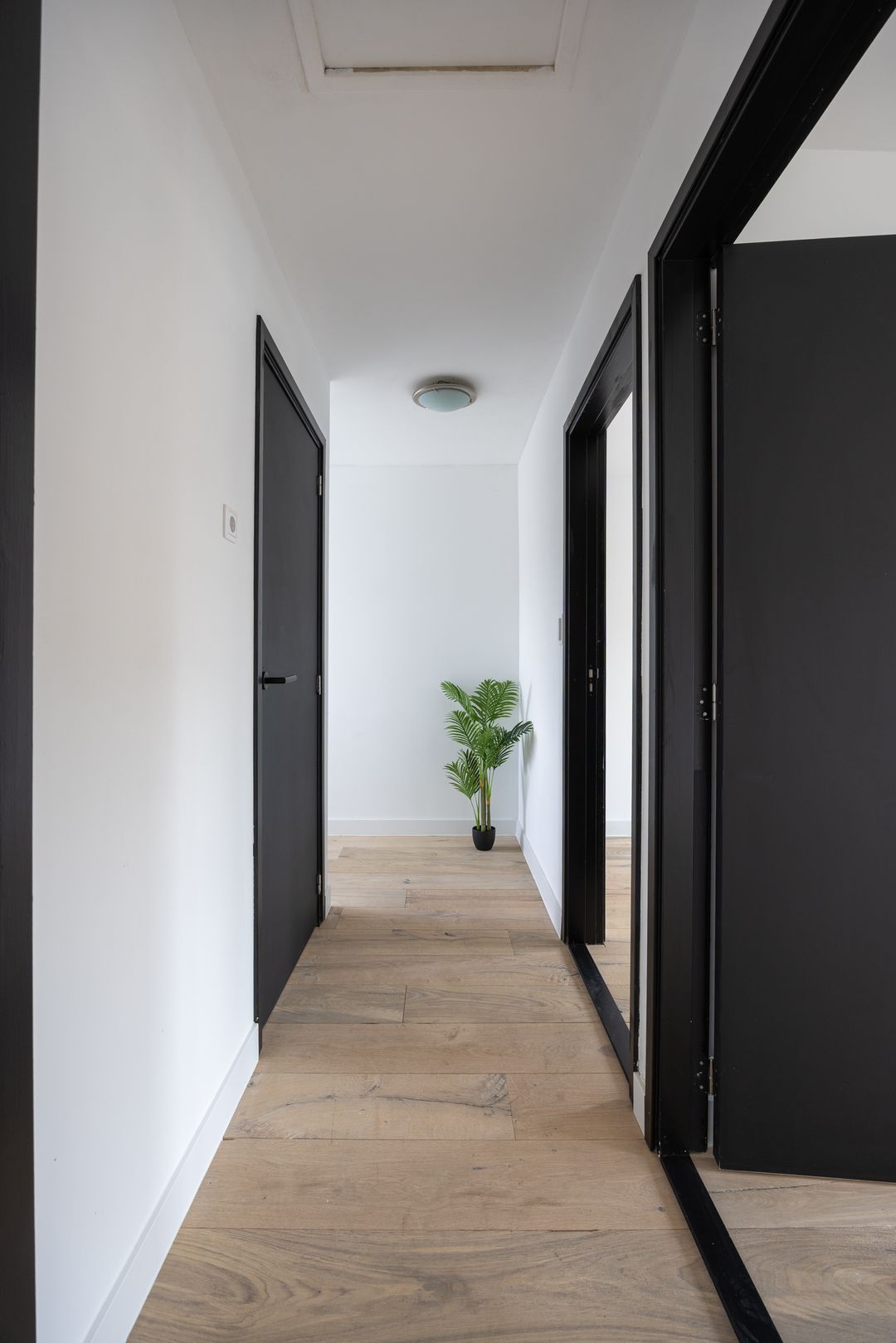 Foto 28 van Mierloseweg 333