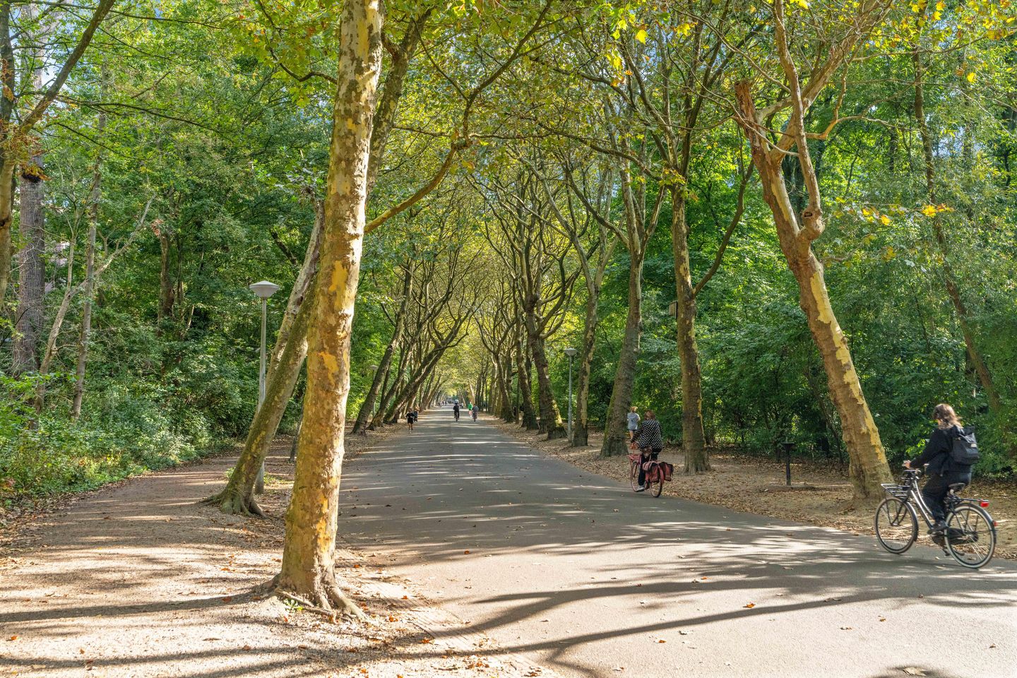 Foto 44 van Overtoom 533-B