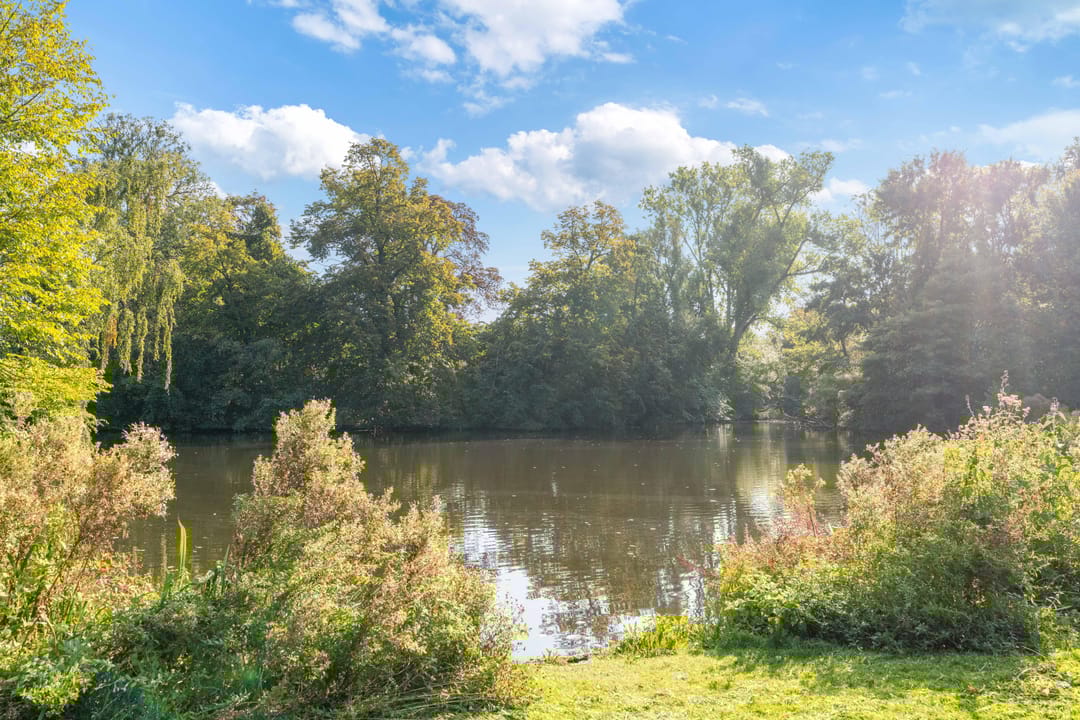 Foto 46 van Overtoom 533-B