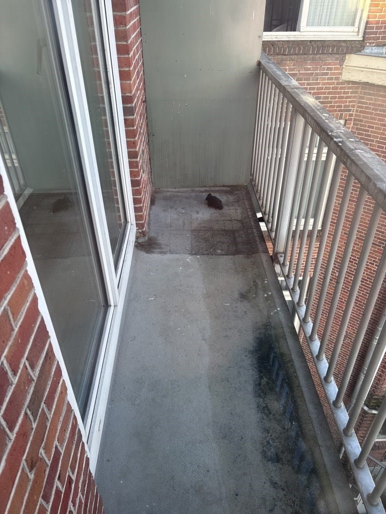 Foto 12 van Linnaeusstraat 207-3