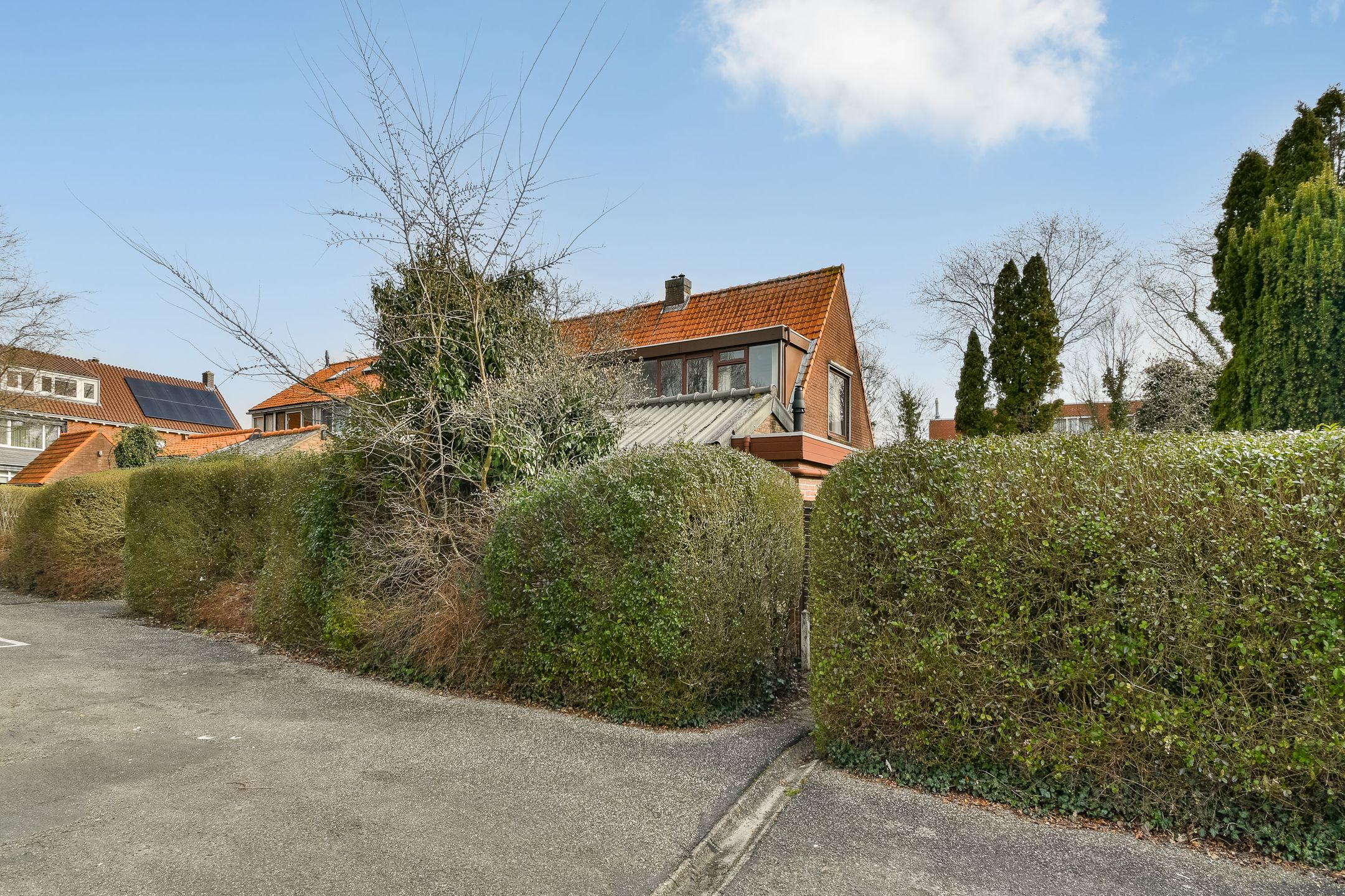 Photo 24 of Terpsingel 5