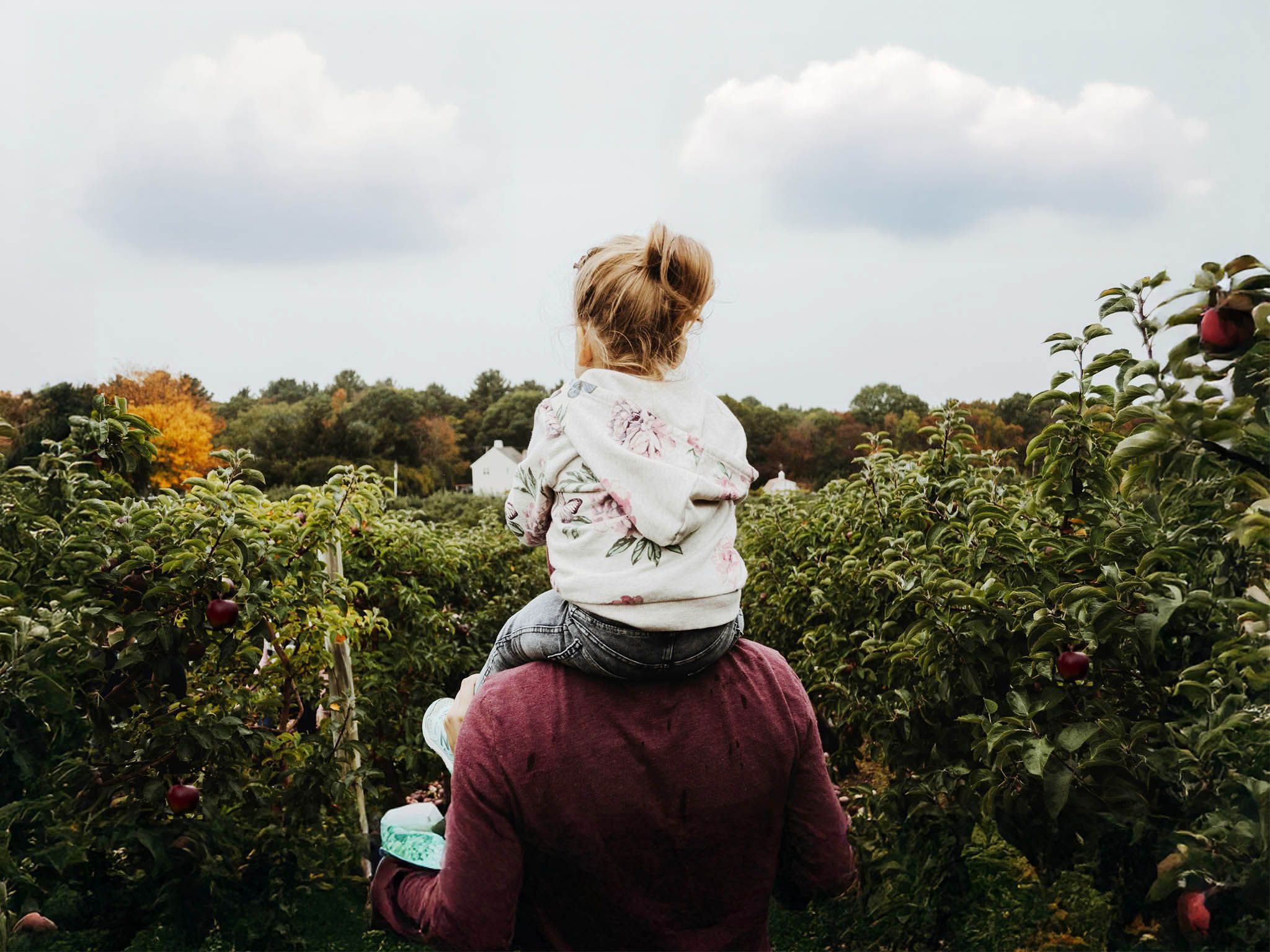 Foto van De Woongaard Fase 2