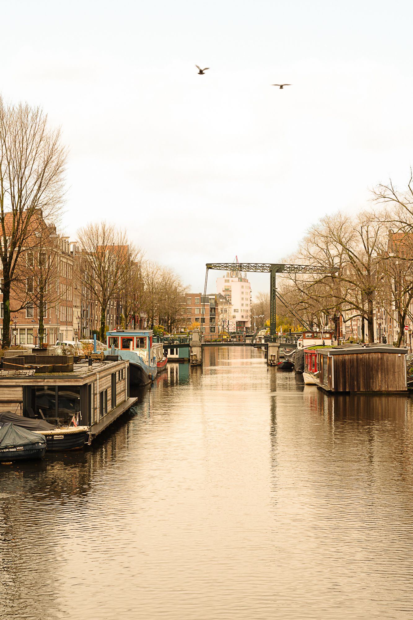 Foto 30 van Willemsstraat 14-F