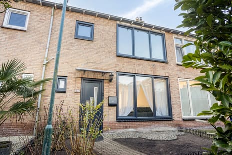 undefined main image