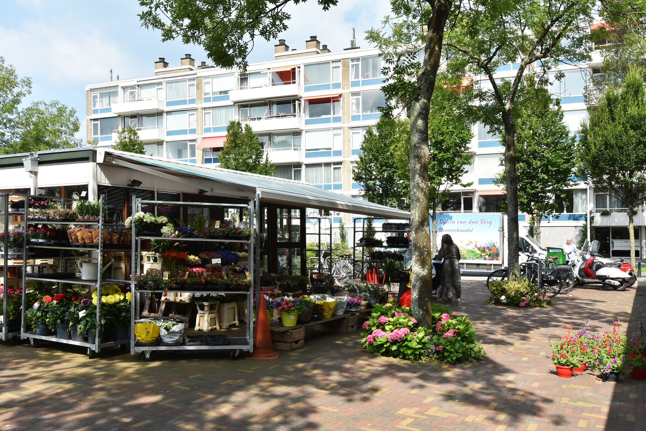 Foto 36 van Landréstraat 494