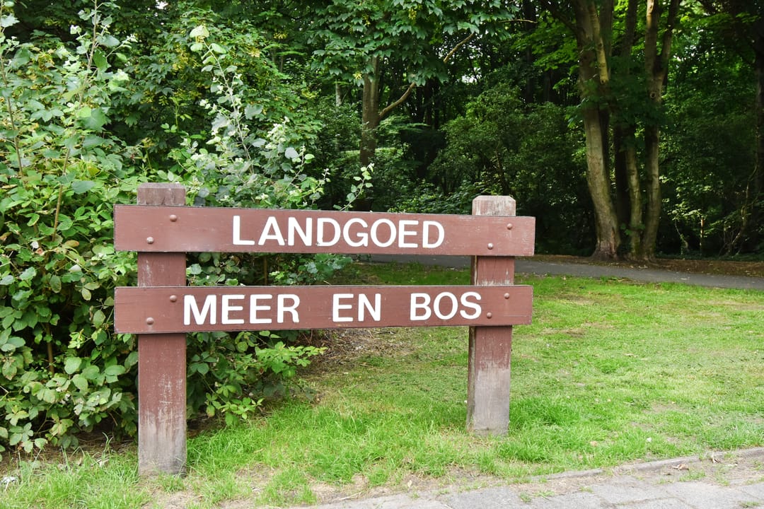 Foto 37 van Landréstraat 494