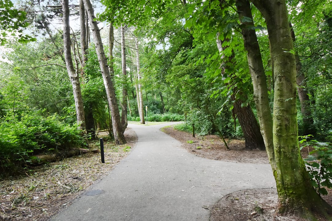 Foto 38 van Landréstraat 494