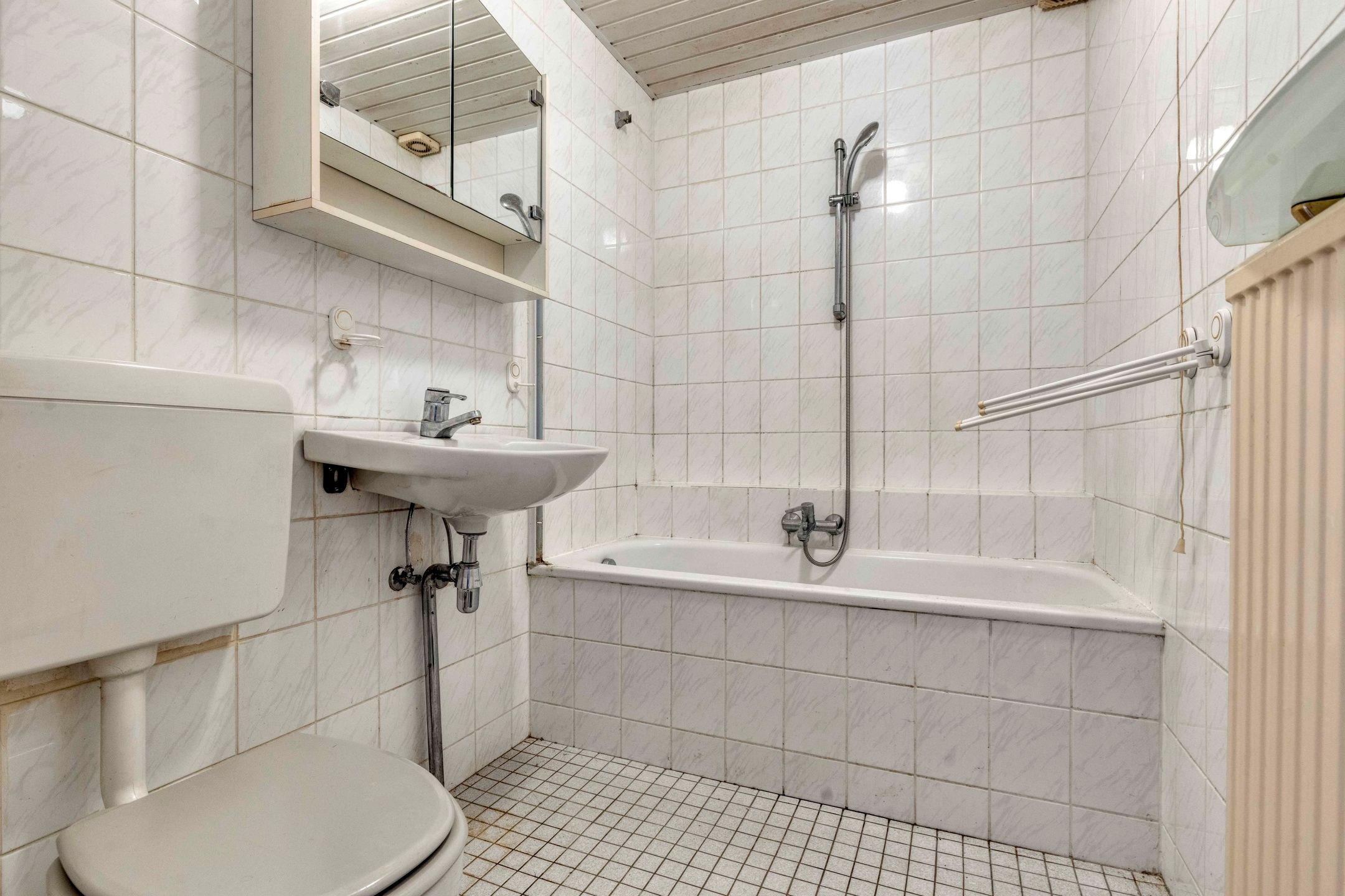 Foto 18 van Ramsesdreef 195