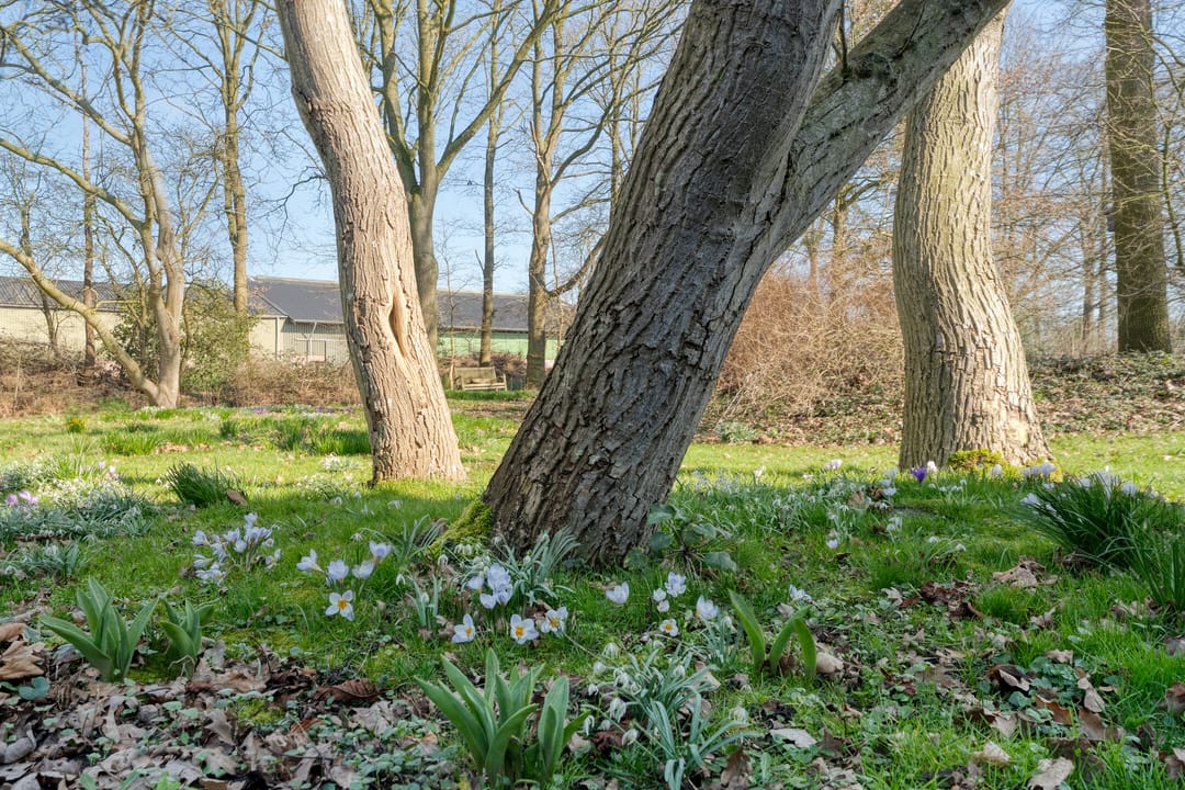 Photo 61 of Vorrelveen 12-A