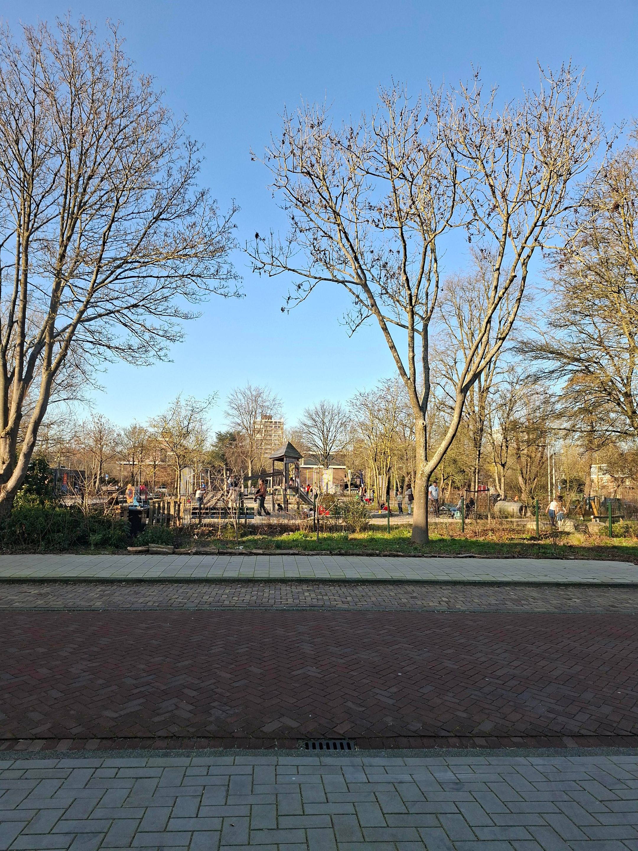 Photo 6 of Overdam 7