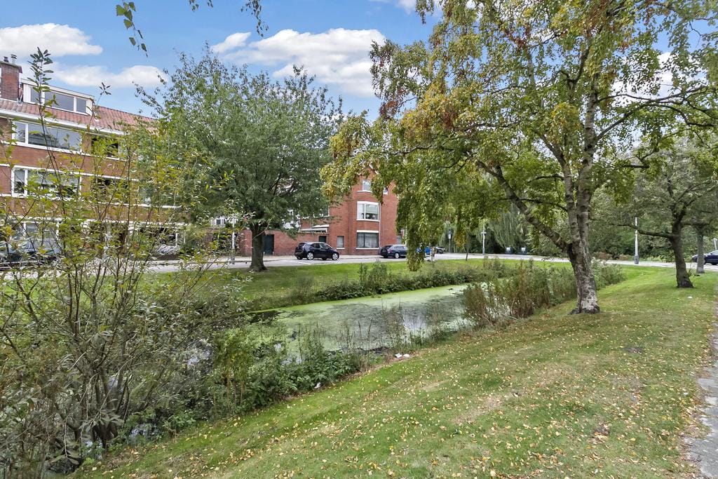 Foto 22 van Hoefbladlaan 53