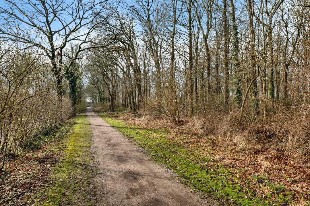 Photo 43 of Dopheide 16