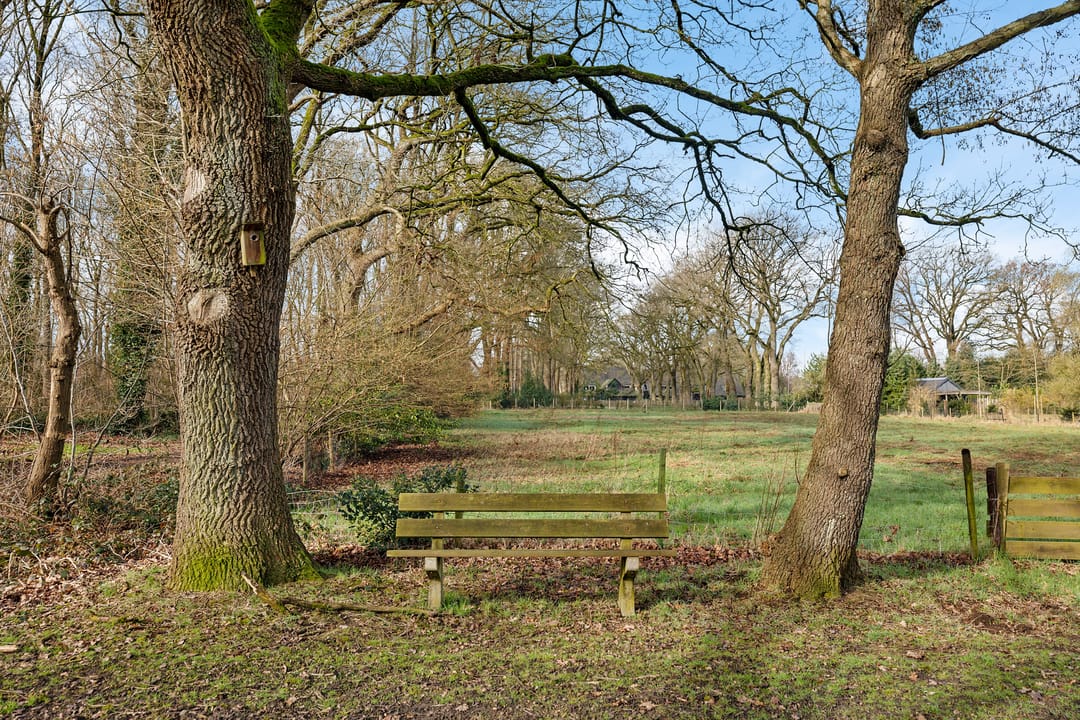 Photo 46 of Dopheide 16