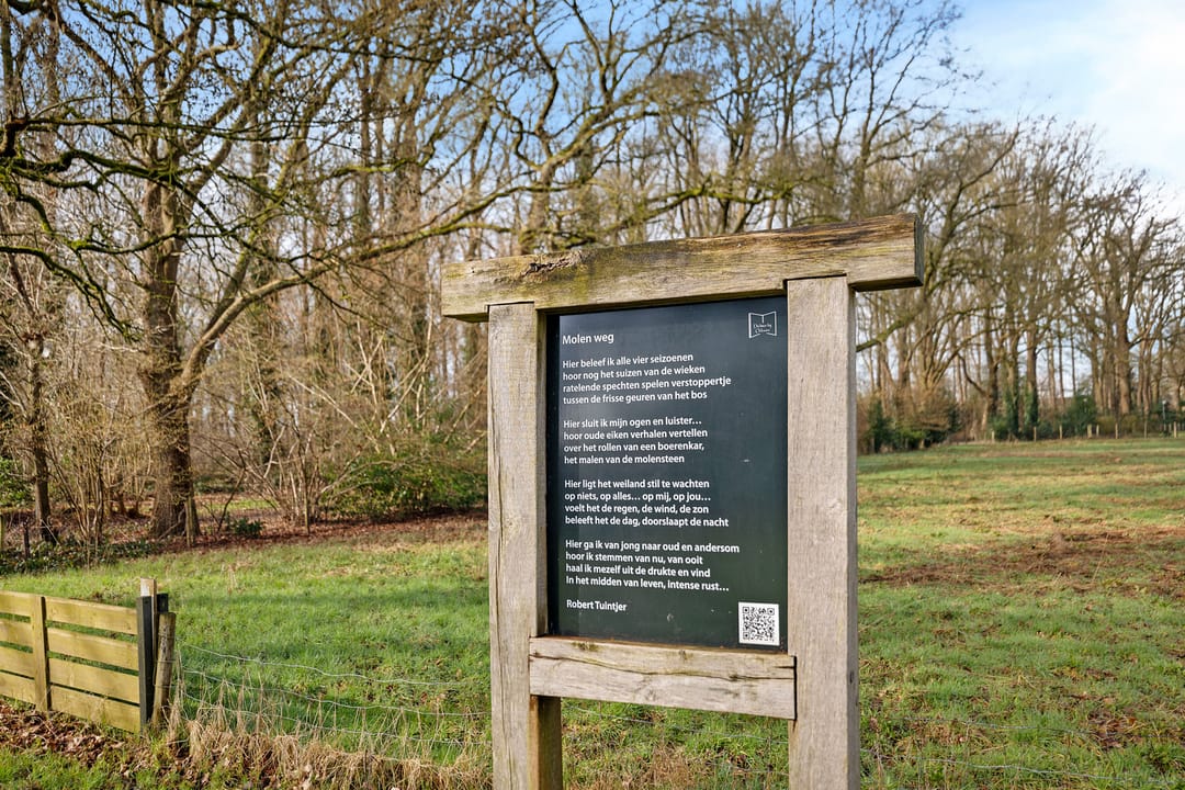 Photo 47 of Dopheide 16