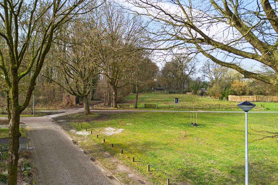 Photo 52 of Dopheide 16