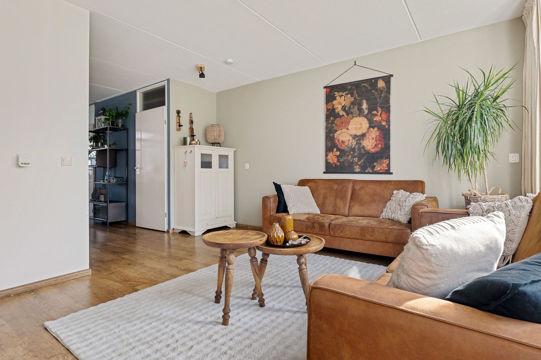 Photo 9 of Dopheide 16