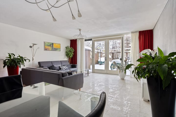 Foto 2 van Drususlaan 49