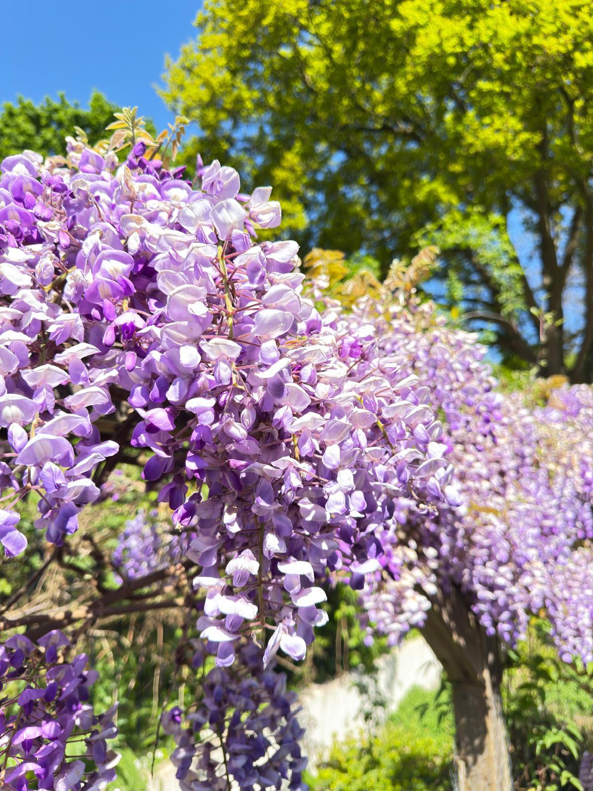 Foto 33 van Bovensteweg 3