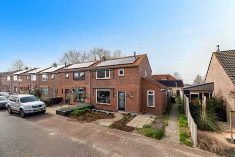 undefined main image