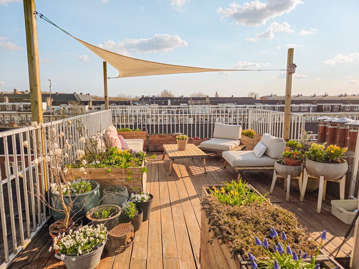 Jan Haringstraat 1 A-3