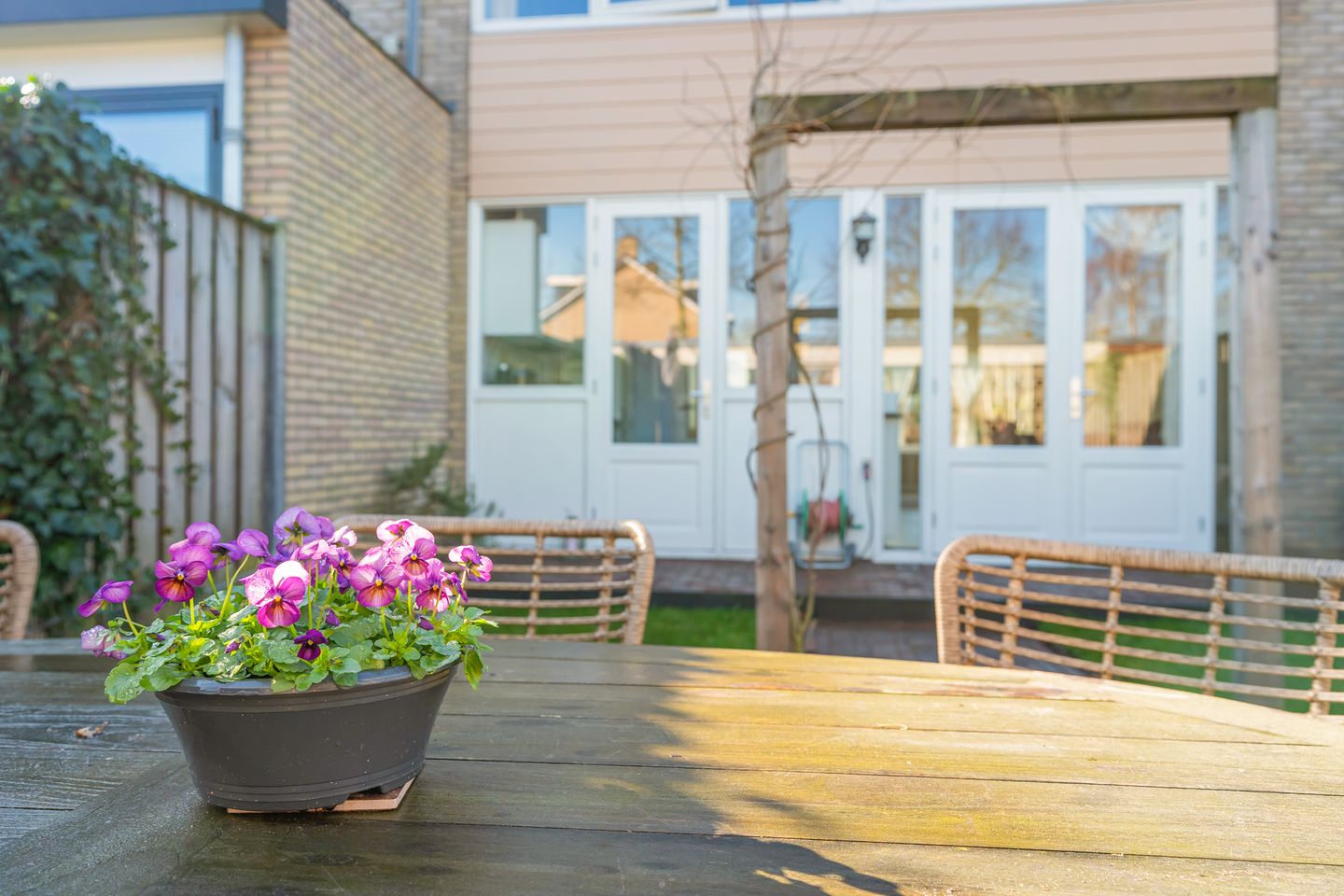 Foto 34 van Nijenheim 2309