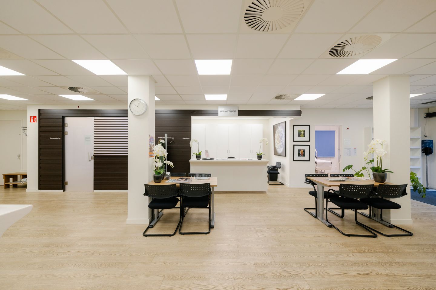 Bekijk foto 5 van Bloemendaalseweg 42-44