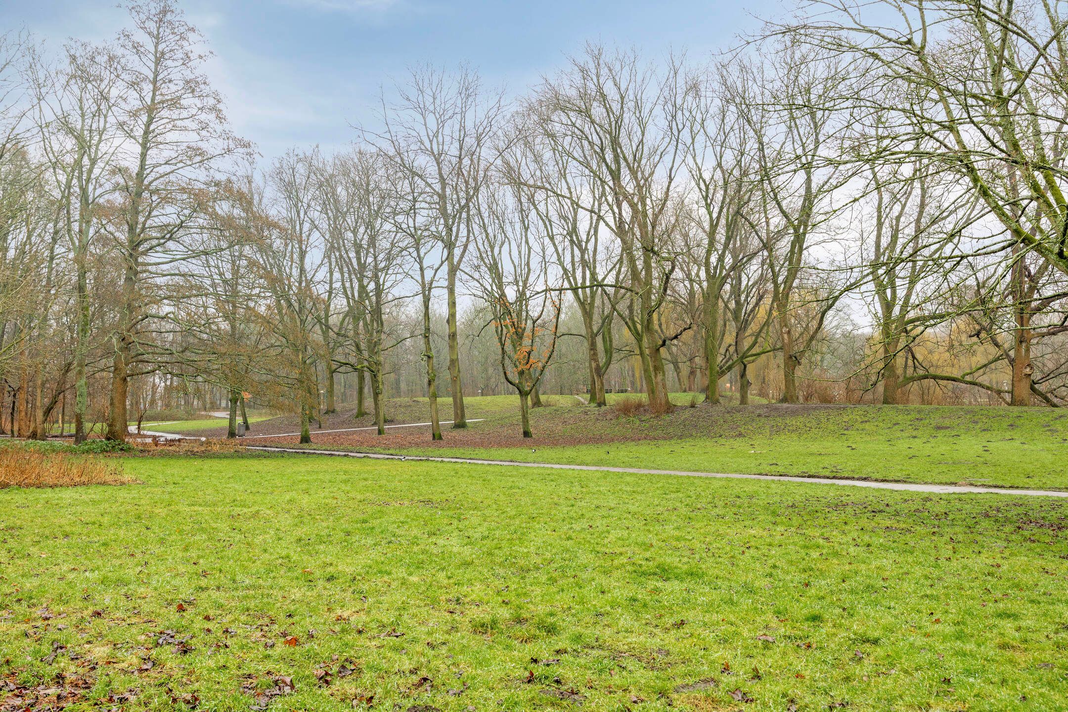 Charming 1930s Ground Floor Apartment with East-Facing Garden at Rembrandtpark — 29