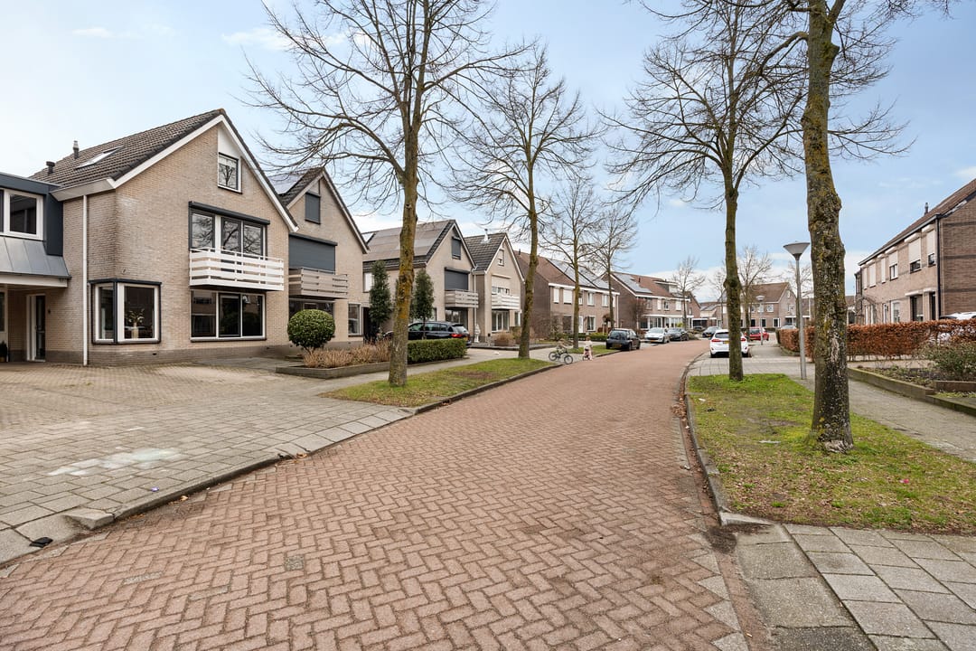 Foto 8 van Zilverschoon 25