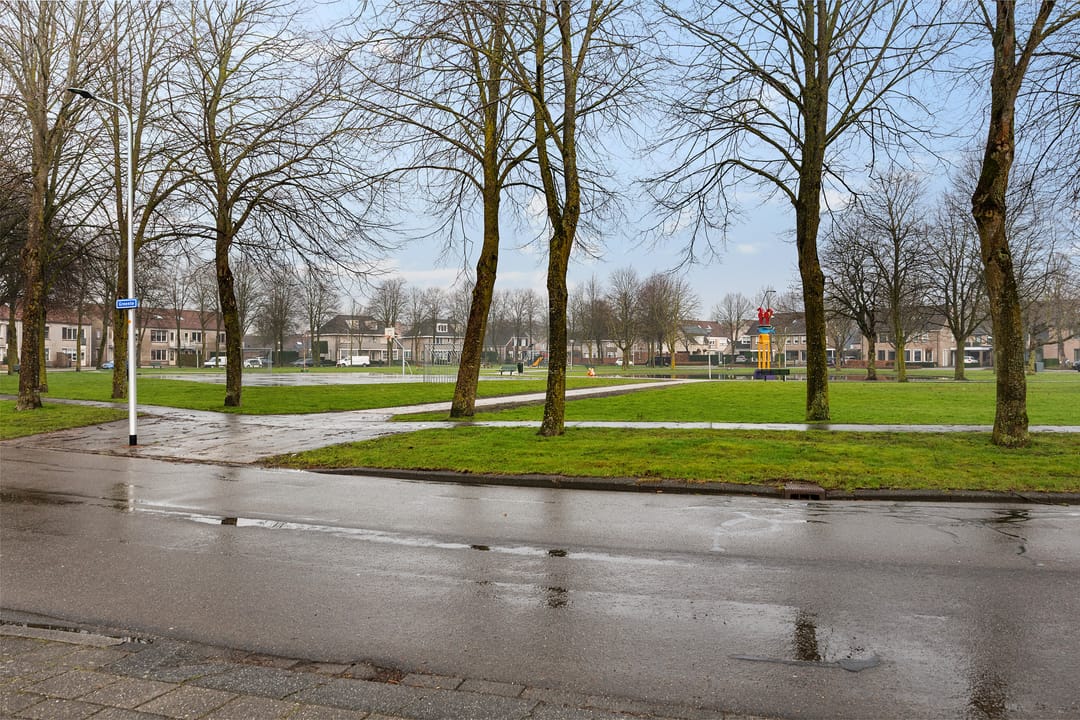 Foto 53 van Zilverschoon 25