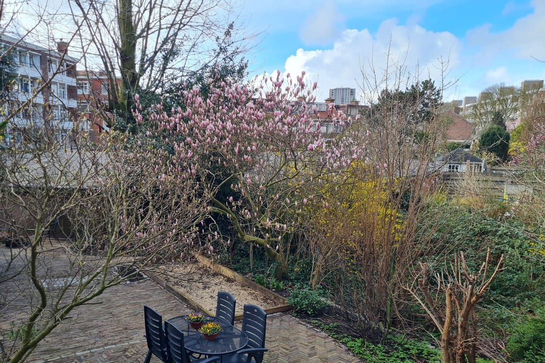 Foto 17 van Volendamlaan 74