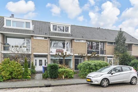 undefined main image