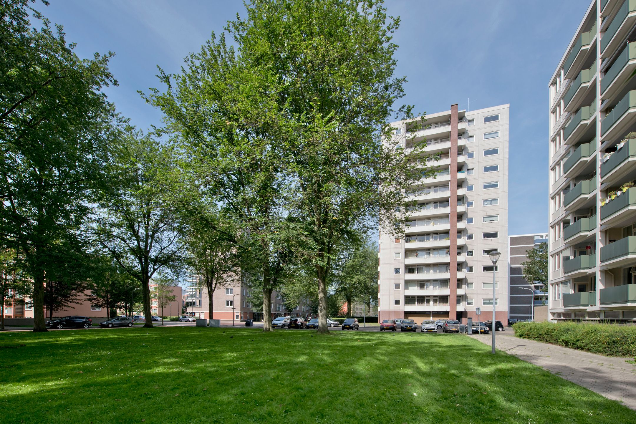 Foto 21 van Ierlandstraat 138