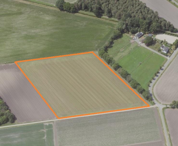 Bekijk foto 1 van Kievitweg