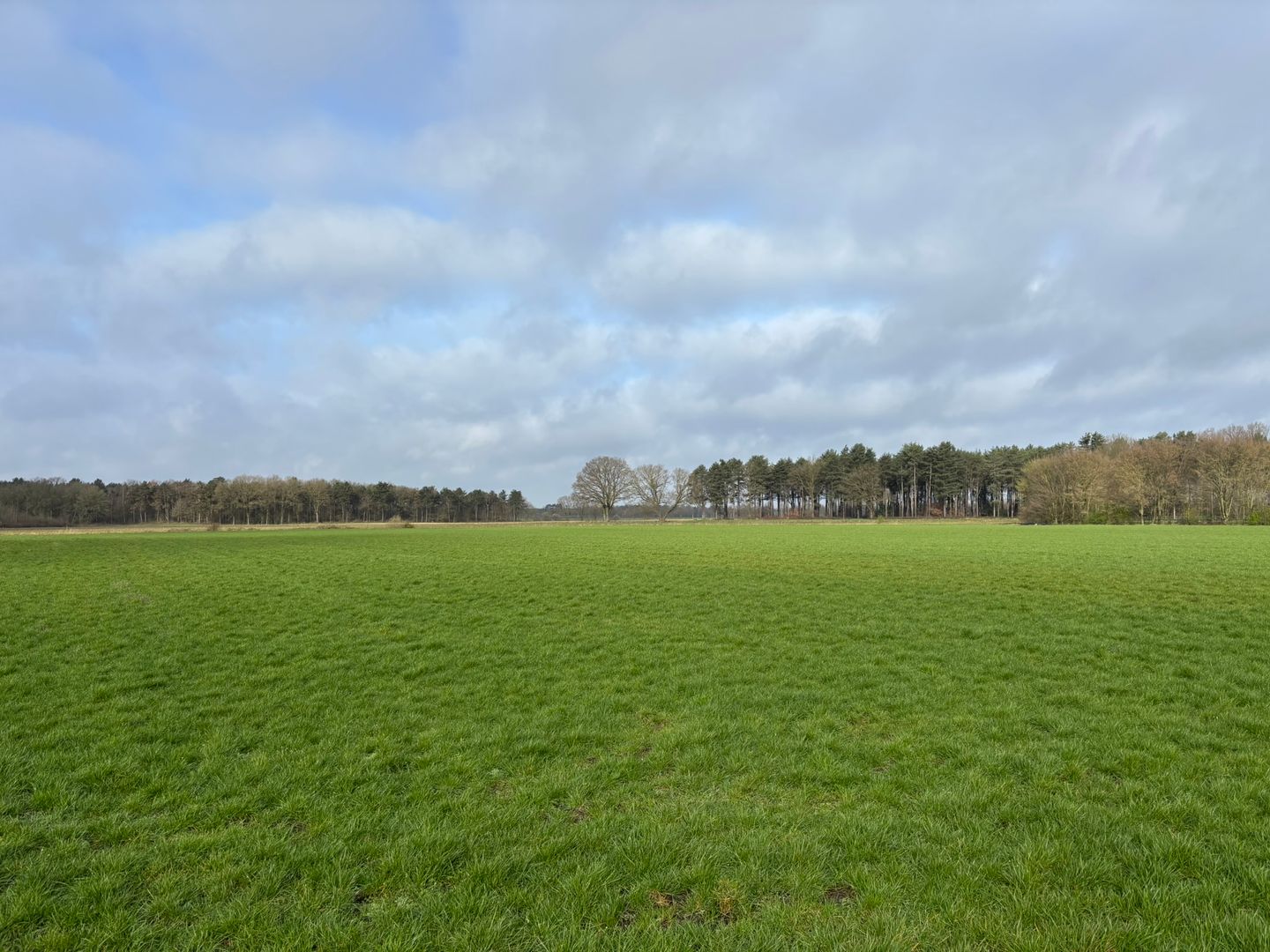 Kievitweg - Kronenberg - Afbeelding 7