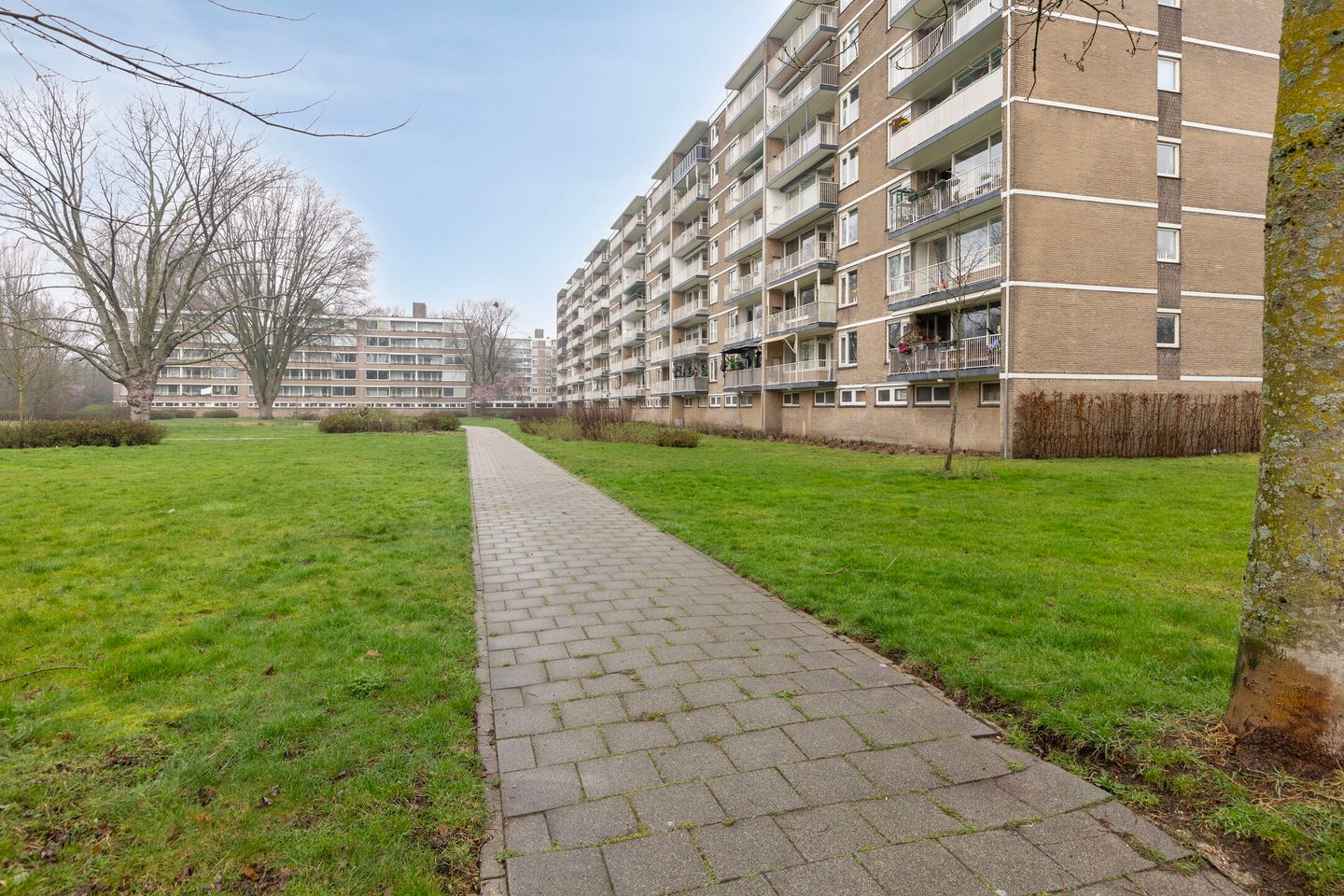 Photo 35 of Adriaan Dortsmanstraat 115