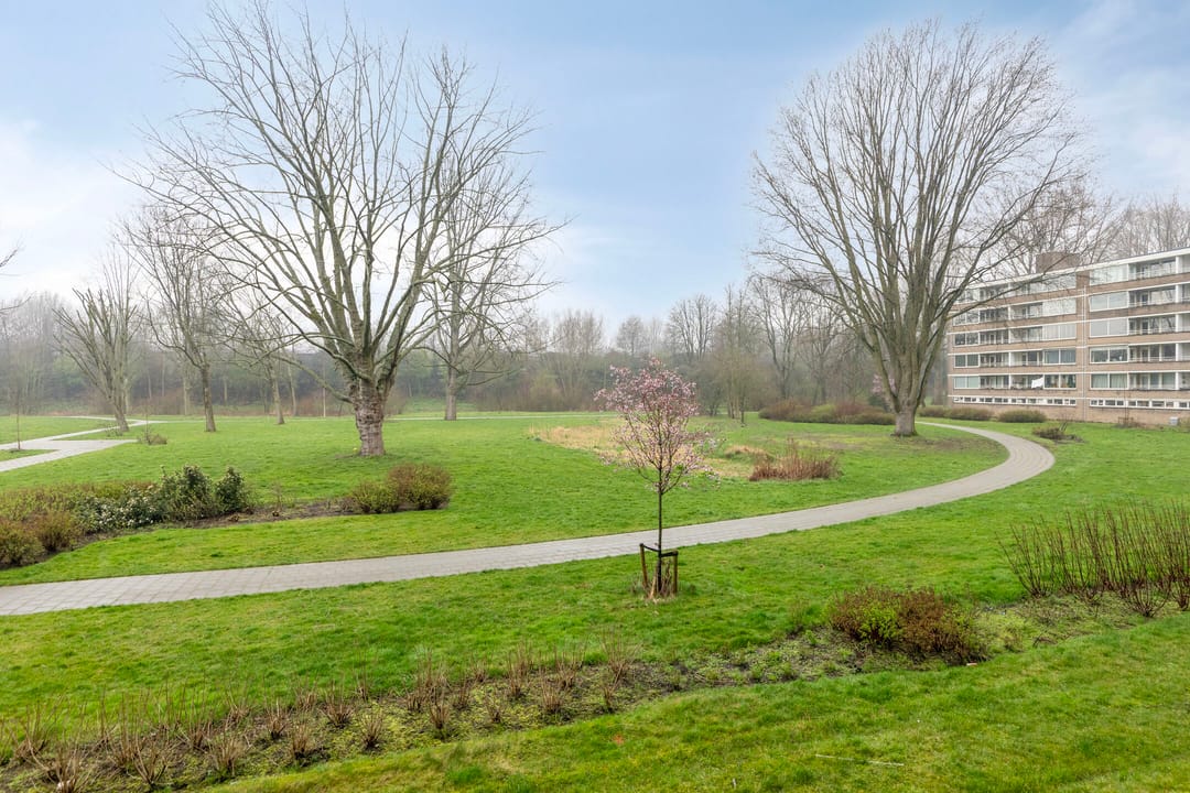 Photo 22 of Adriaan Dortsmanstraat 115