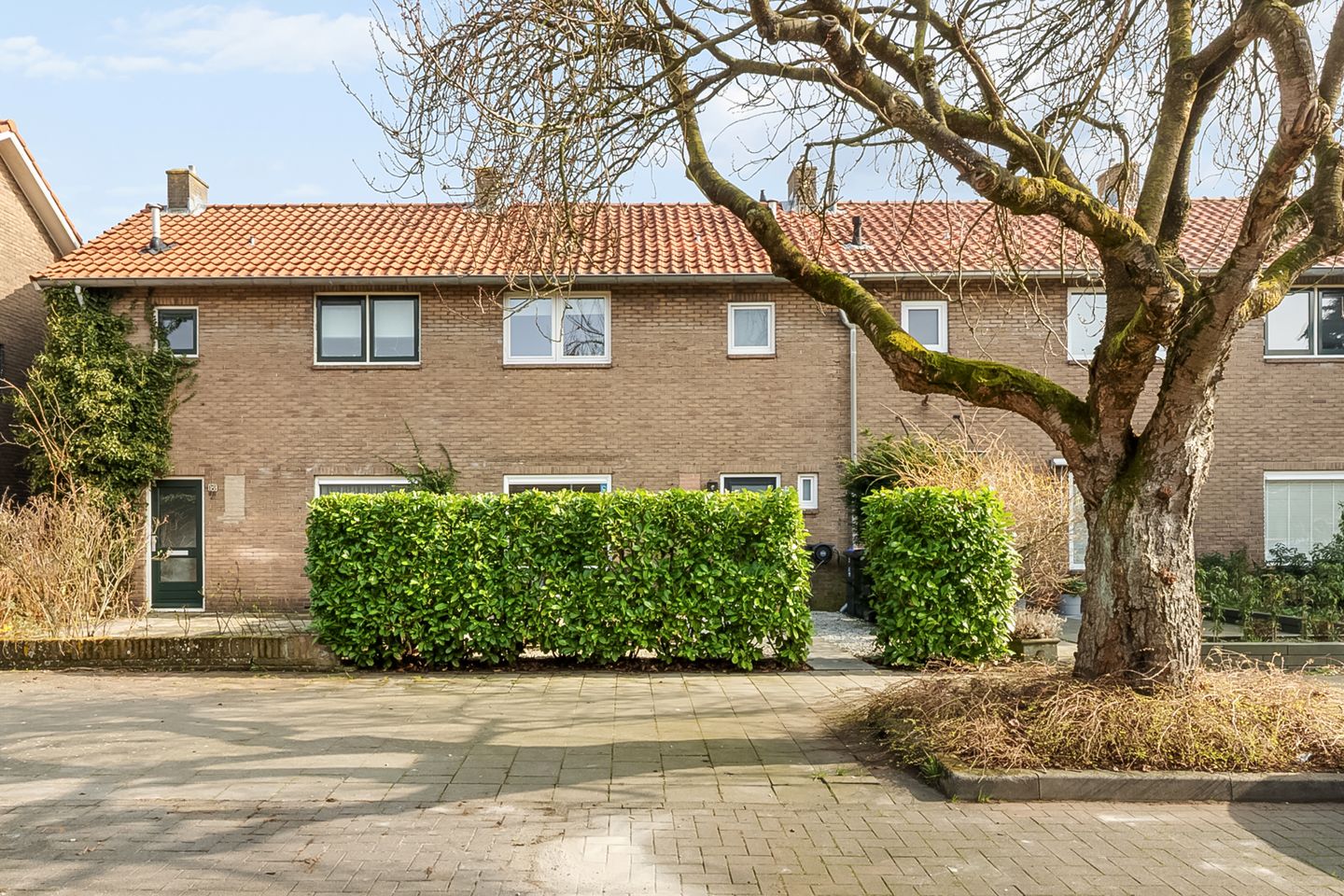 Foto 5 van Ruysstraat 66