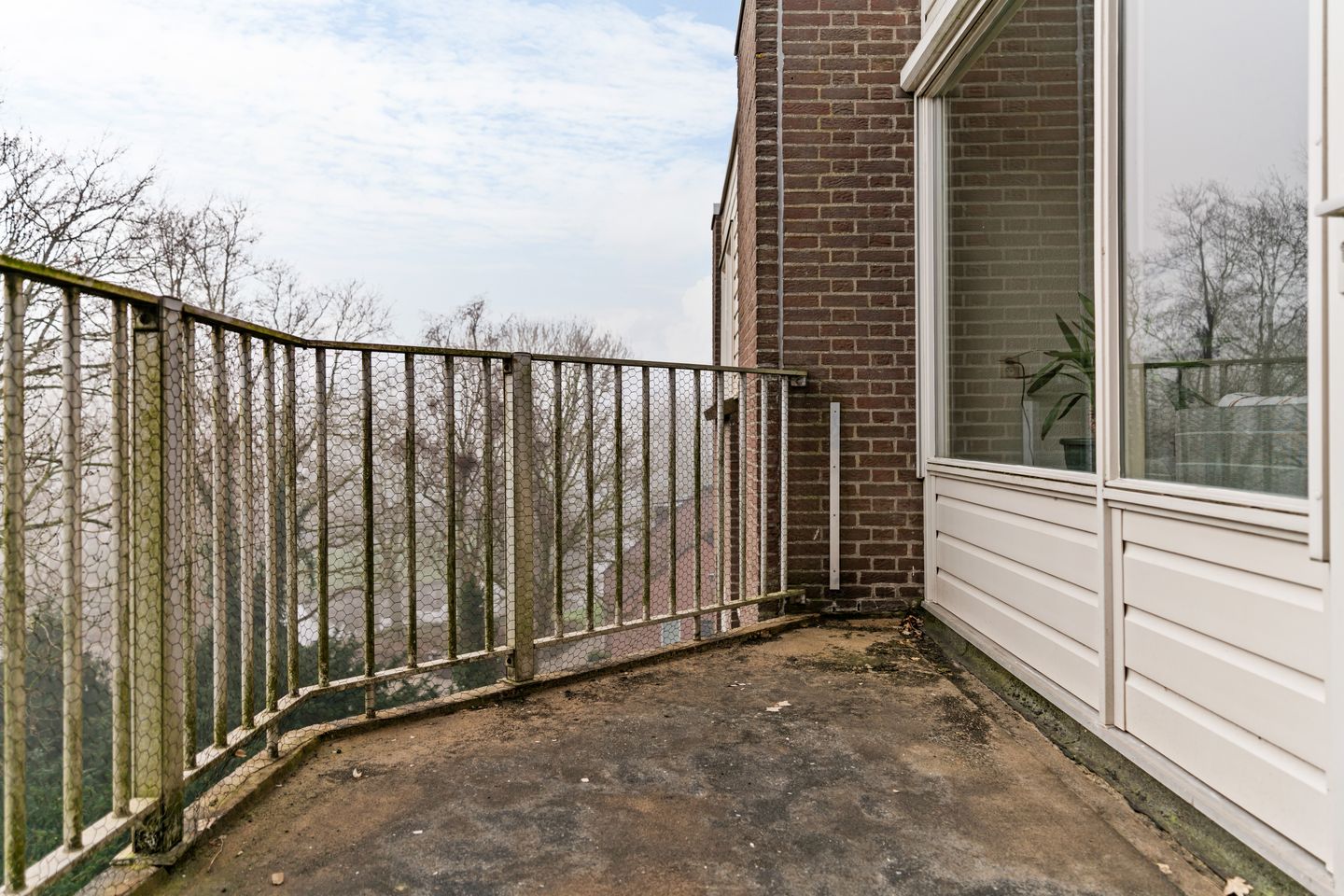 Foto 5 van Elzekrulzoom 59