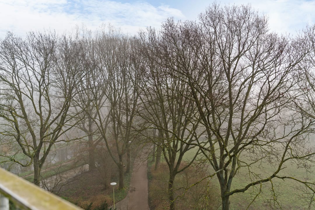 Foto 17 van Elzekrulzoom 59