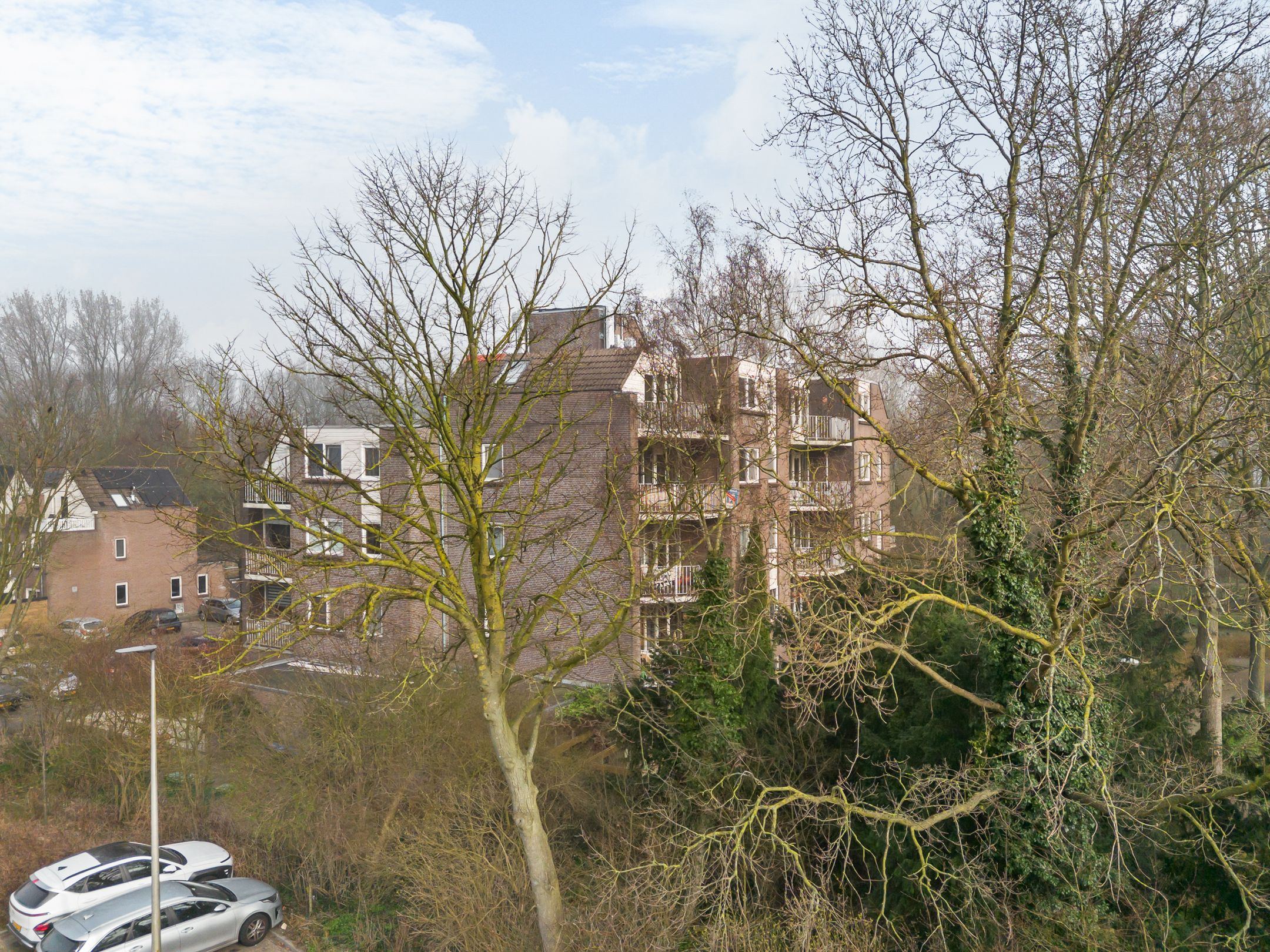 Foto 21 van Elzekrulzoom 59