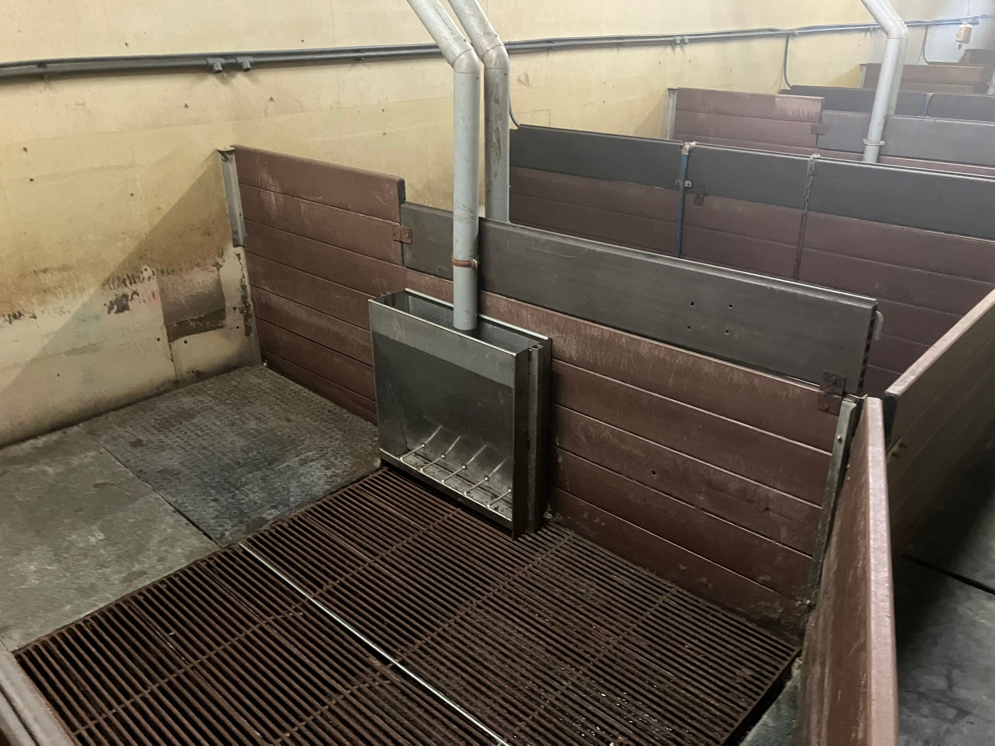 Foto 21 van Kemphaanweg 6