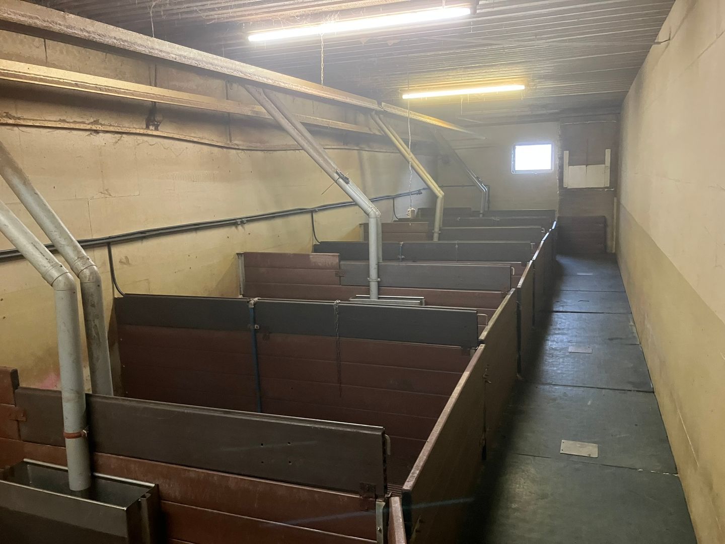 Foto 20 van Kemphaanweg 6