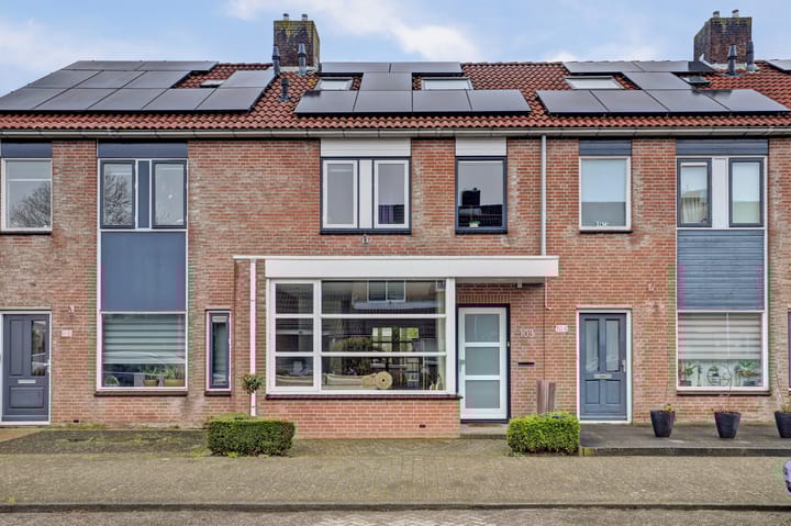 Butterwoud 103 main image